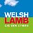 WelshLamb_PGI's profile image