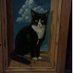 sue dorey (@suecatvet) Twitter profile photo