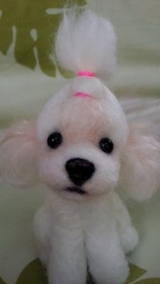 りんご飴さんのプロフィール画像