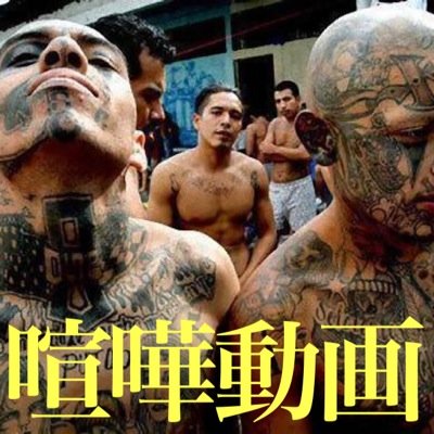 喧嘩 動画 Kenka Doga Twitter 喧嘩 動画 Kenka Doga Twitter