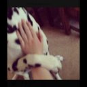 Chloe Spence - @ChloeSpence01 - Twitter