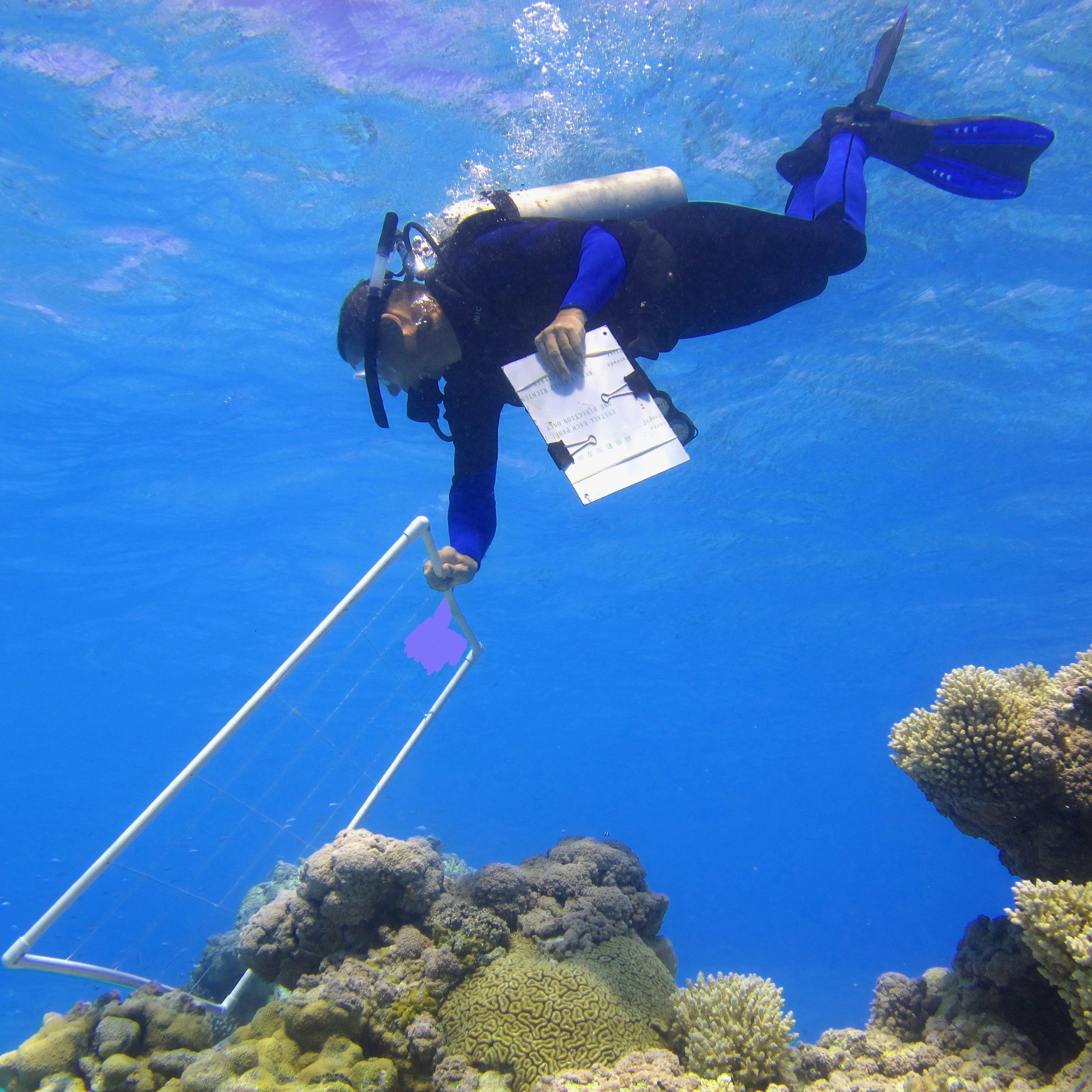 cafedok19's profile picture. 