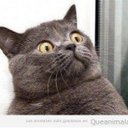 Antony Jackson - @antonyjax - Twitter