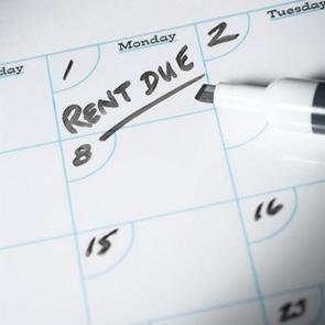 rentnightmares's profile picture. Your renting nightmares, collected. Email: rentingnightmares@gmail.com