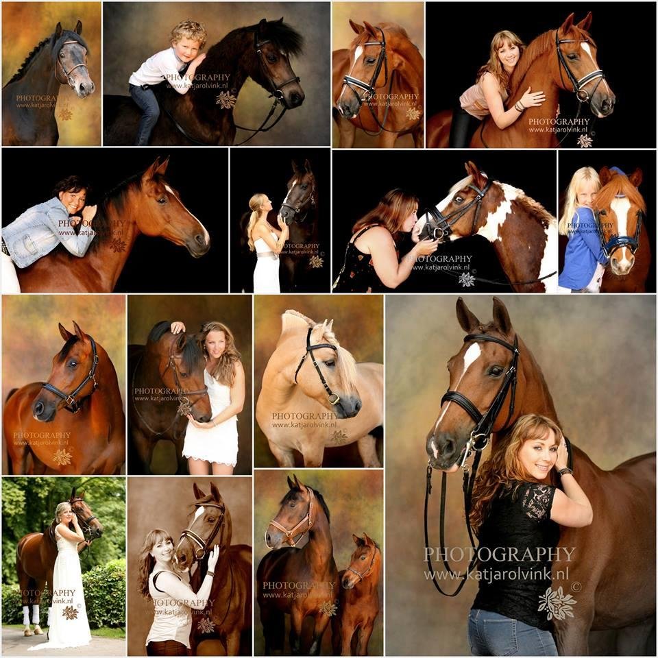 Katja Rolvink Fotografie: PAARDEN STUDIO! Paarden reportages in portret, vrijheid & bereden. Samen Shoots. Cultureel & Event.