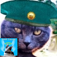TweeterKitty (@iamtweeterkitty) 's Twitter Profile
