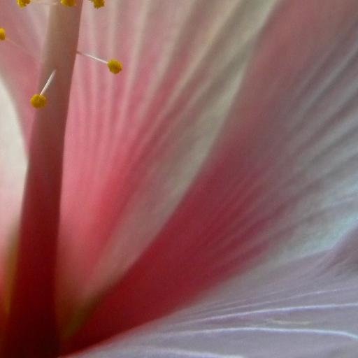 WinnieKirkS's profile picture. currently looking for a job. PBA e-concept development, multi media designer, BA international business communication english and spanish.