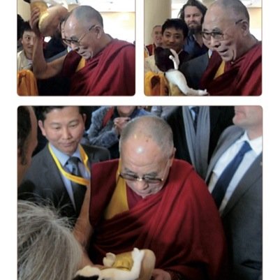 Joost de Graaf. plush Buddha brings educational values to a child's life