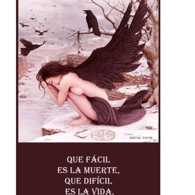 la perfección no existe..