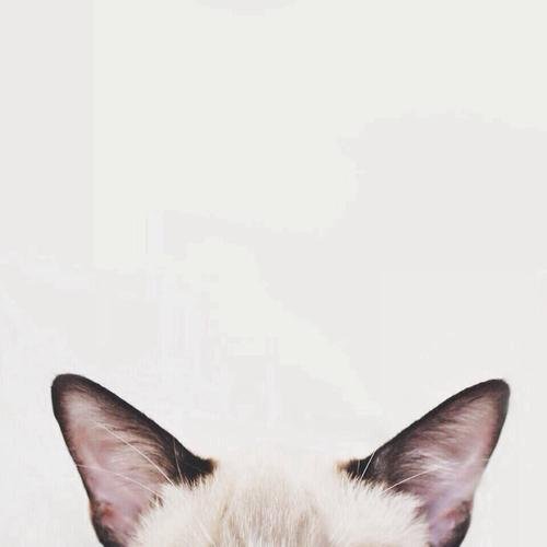 daphnegrey_'s profile picture. 