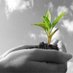 World Agric News (@worldagricnews) Twitter profile photo World Agric News (@worldagricnews) Twitter profile photo