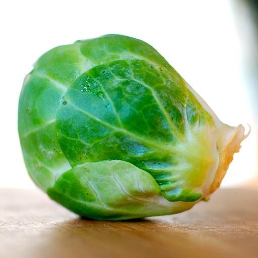 SproutBarry Profile Picture