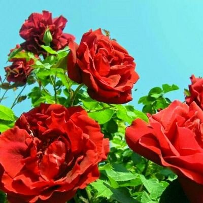 3a2f93afdb05417's profile picture. 