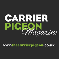Carrier Pigeon (@carrierpigeon1) 's Twitter Profile