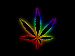 Holiest Marijuana Ever! *EVERYTHING HERE IS HOME GROWN!*
Email us your weed pictures! holystrains@gmail.com
