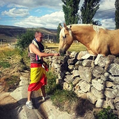 colchonero, amante de la cerveza, sus pinchos y de la buena música tal como el hardcore