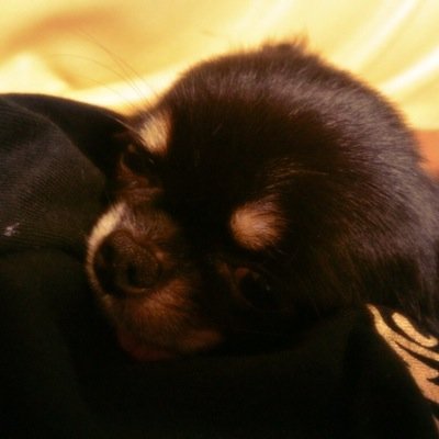 love_since0525's profile picture. 宇津木台→石川→北高2-B。緑団！ただいま1年1ヶ月(14ヶ月)目突入！(♥ŐωŐ♥)誰でもfollow me♡ かすみ♡かずき♡since〜2013/0525♡