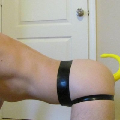 Rubber pup in Central Florida