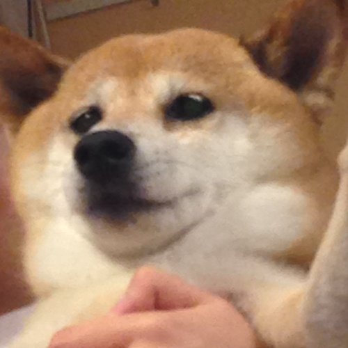 xxxnoway's profile picture. 