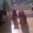 erick_chacon_8 - @erick_chacon_8 - Twitter