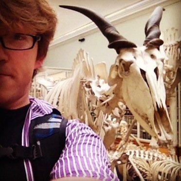 AleksPereverzev's profile picture. 