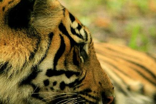 DaviezWilliam's profile picture. 