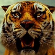 mc_researchKSU's profile picture. 