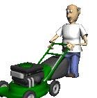 simpre em forma