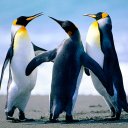 دلوعه (@0546060744) Twitter