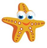 We teach swimming lessons from 6 mth to Adult.