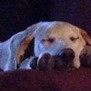 Devin Snow - @1991Devin - Twitter