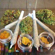 dabsndoobs's profile picture. Dad Clothing Company© T-shirts coming soon for every dad to wear