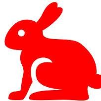 So starts the year of the Red Rabbit