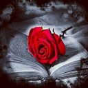 0567364292 (@0567364292) Twitter