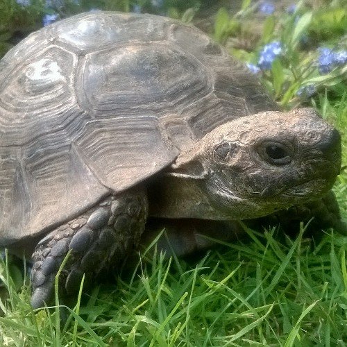 paulsmokeyb's profile picture. Ex job once described as copper by whom it would be a pleasure to be arrested | now shooting and fishing & obsessing over Alfa's | EFC | FFF2