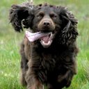 sue oconnor - @motherearth55 - Twitter