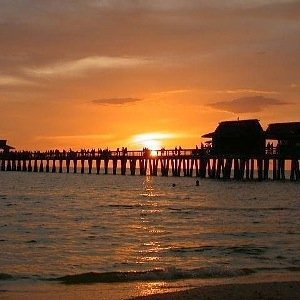 Commercial Real Estate in Southwest Florida.  Articles, market trends, news, events.