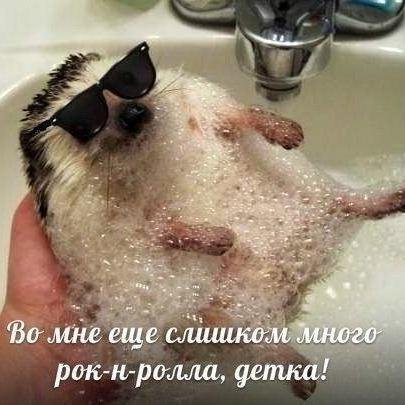 andriypo's profile picture. 