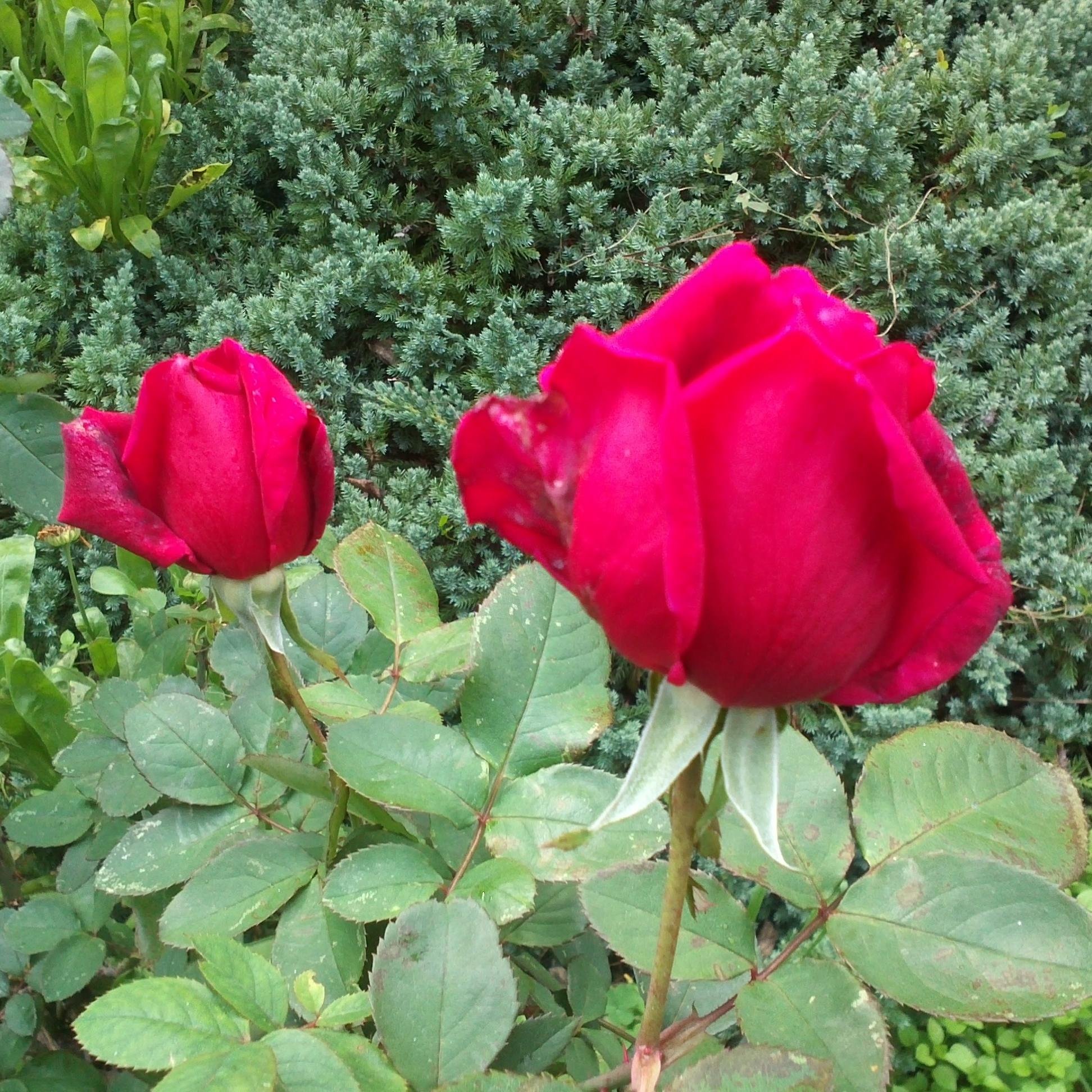 vero14083's profile picture. 