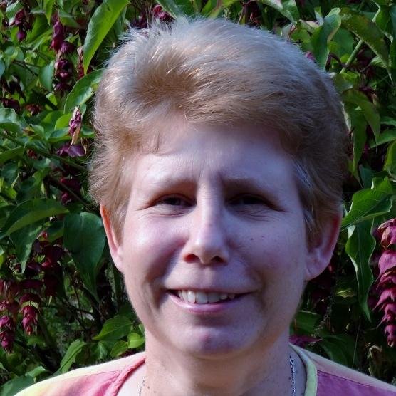 mgtkaz's profile picture. Writer of How to Make Victoria Sponge, a Christian fiction book. Now adding card making to my skill set.