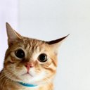 ruben Madrid  - @saenzcharly067 - Twitter