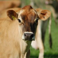 Minshull Hall (@minshullhall) 's Twitter Profile Photo