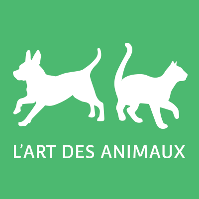 Plus qu’un magasin, l'Art des Animaux est un modèle alternatif, basé sur l’éthologie, pour nos compagnons. À «L’Art des Animaux», tout passe par la relation.