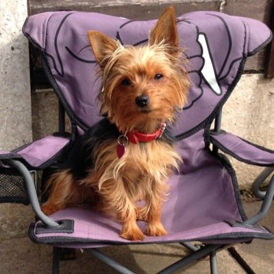 GW_alarmclock's profile picture. 