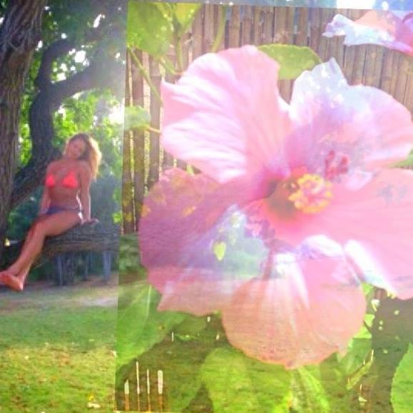 mangokoa's profile picture. 