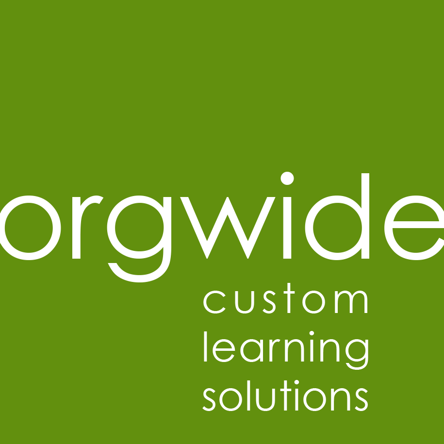 Orgwide ensures you meet your instructional objectives by developing Custom Learning Solutions that maximize knowledge transfer in the shortest possible time!