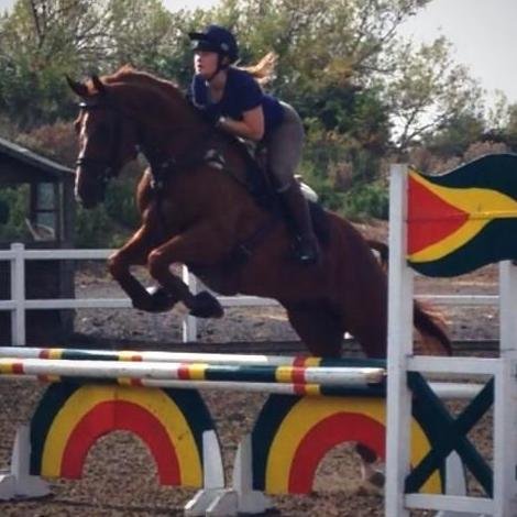 College Student, studying to be riding instructor. Junior eventer.