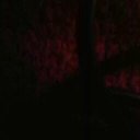 Ralph Shelton - @sheltonassa - Twitter