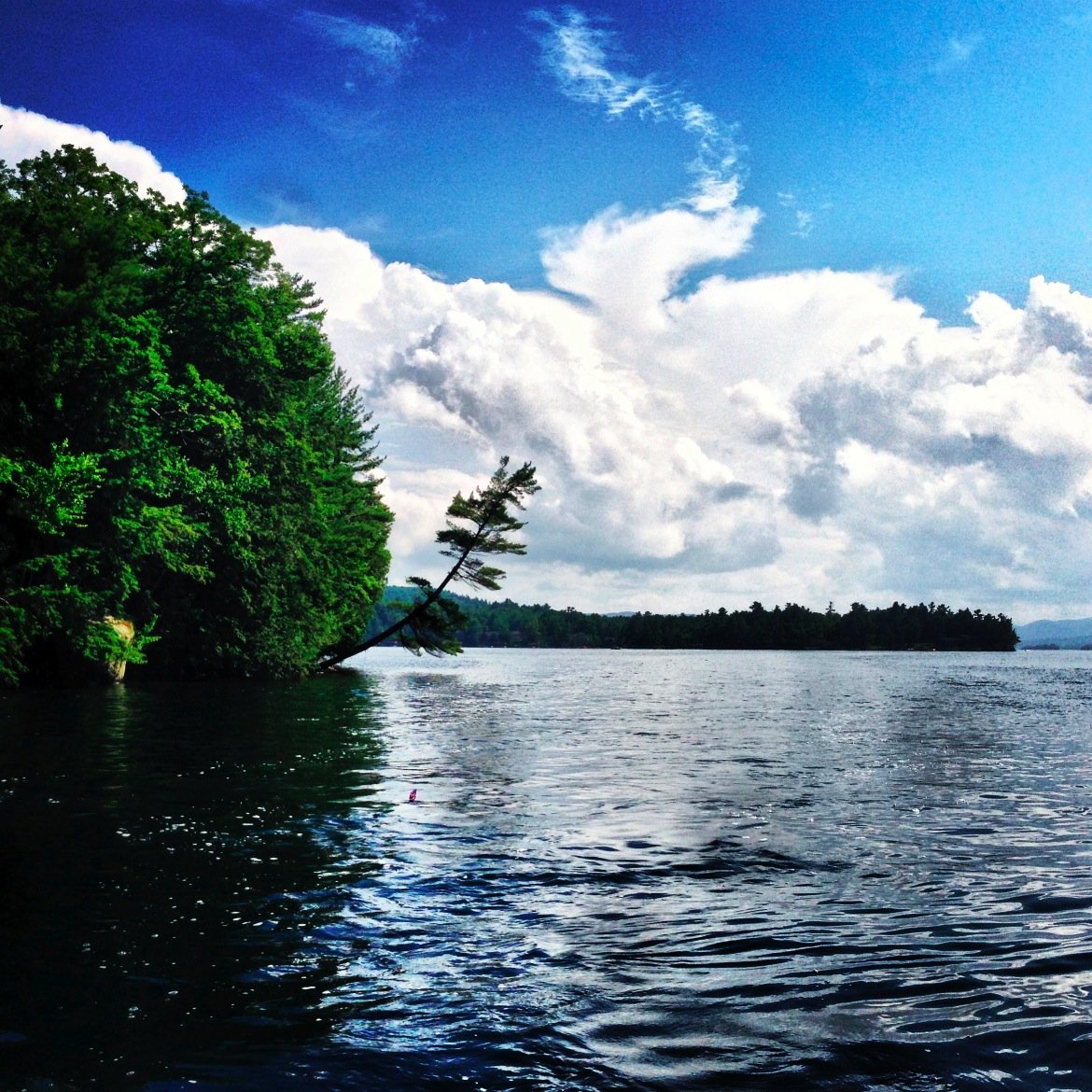 AdirondackPique's profile picture. Thinking deep thoughts in upstate New York