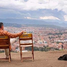 texaroo62's profile picture. 